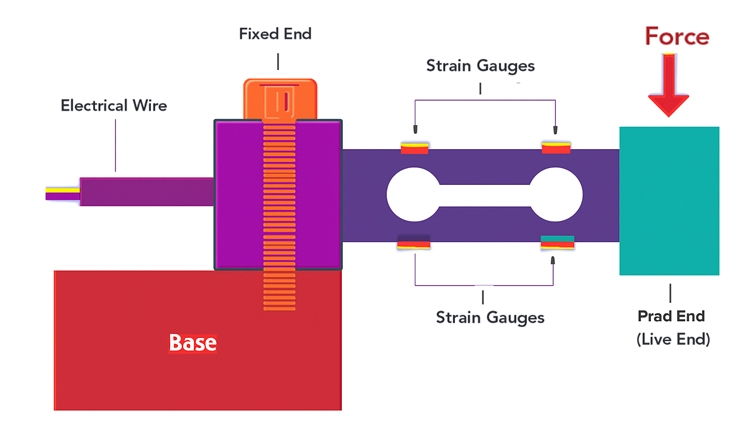 Load Cell Diagram