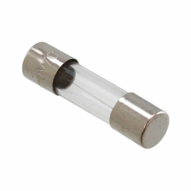 20106300021P 20106300021P