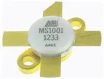 MS1001